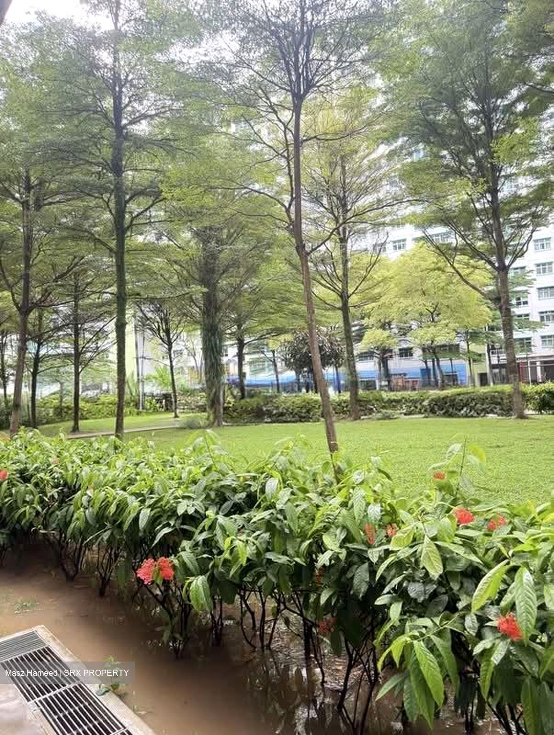 Blk 782B Woodlands Meadow (Woodlands), HDB 4 Rooms #559842091
